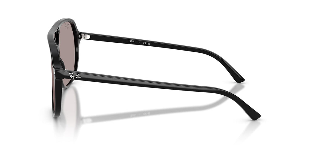 Ray-Ban Bill RB2198