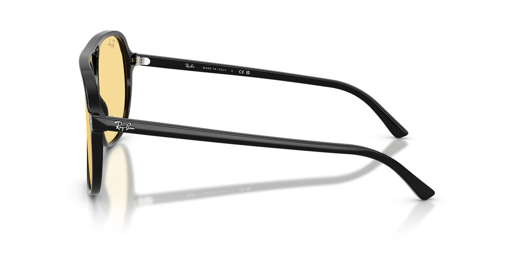 Ray-Ban Bill RB2198