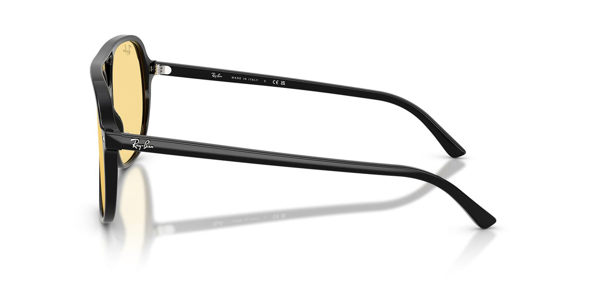 Ray-Ban Bill RB2198