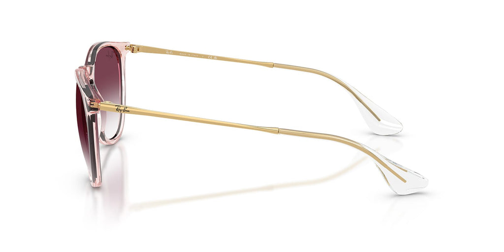 Ray-Ban Erika RB4171