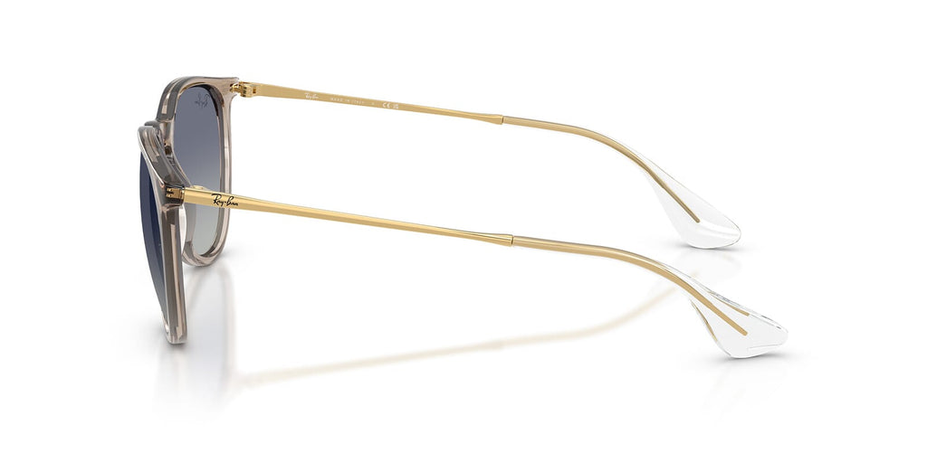 Ray-Ban Erika RB4171