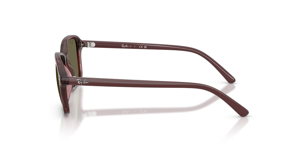 Ray-Ban RJ9131S