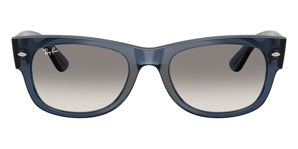 Ray-Ban Mega Wayfarer II RB0832S