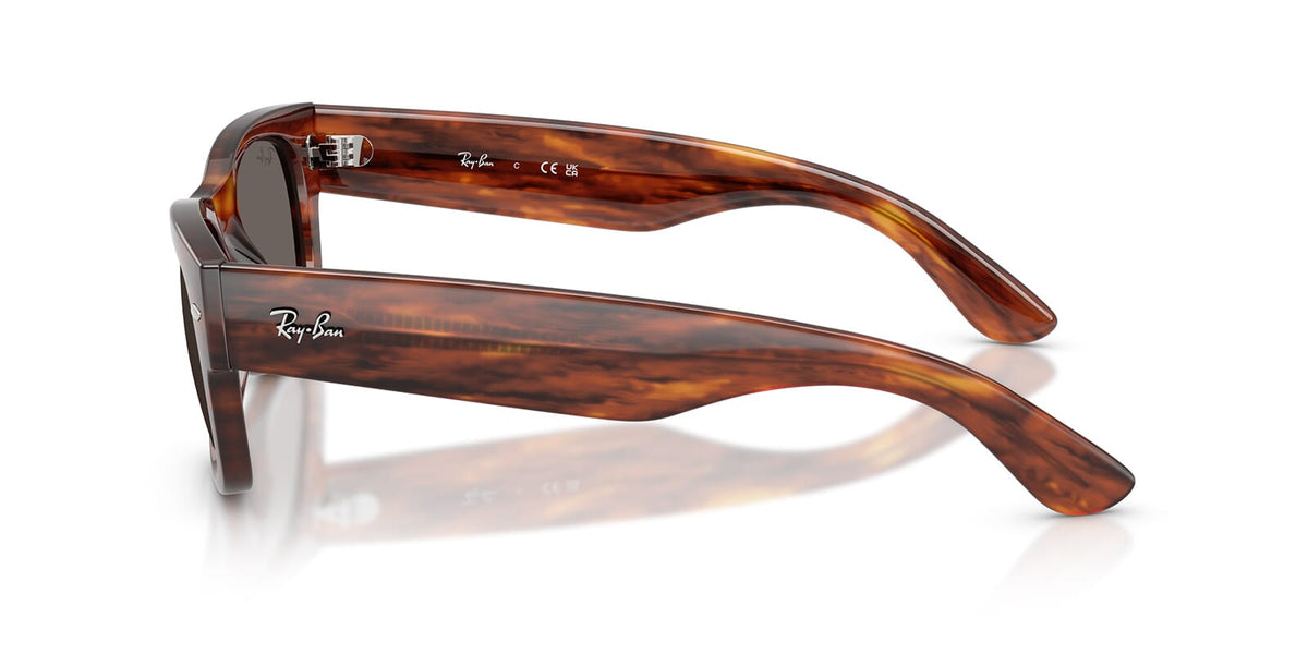Ray-Ban Mega Wayfarer II RB0832S
