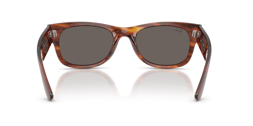 Ray-Ban Mega Wayfarer II RB0832S