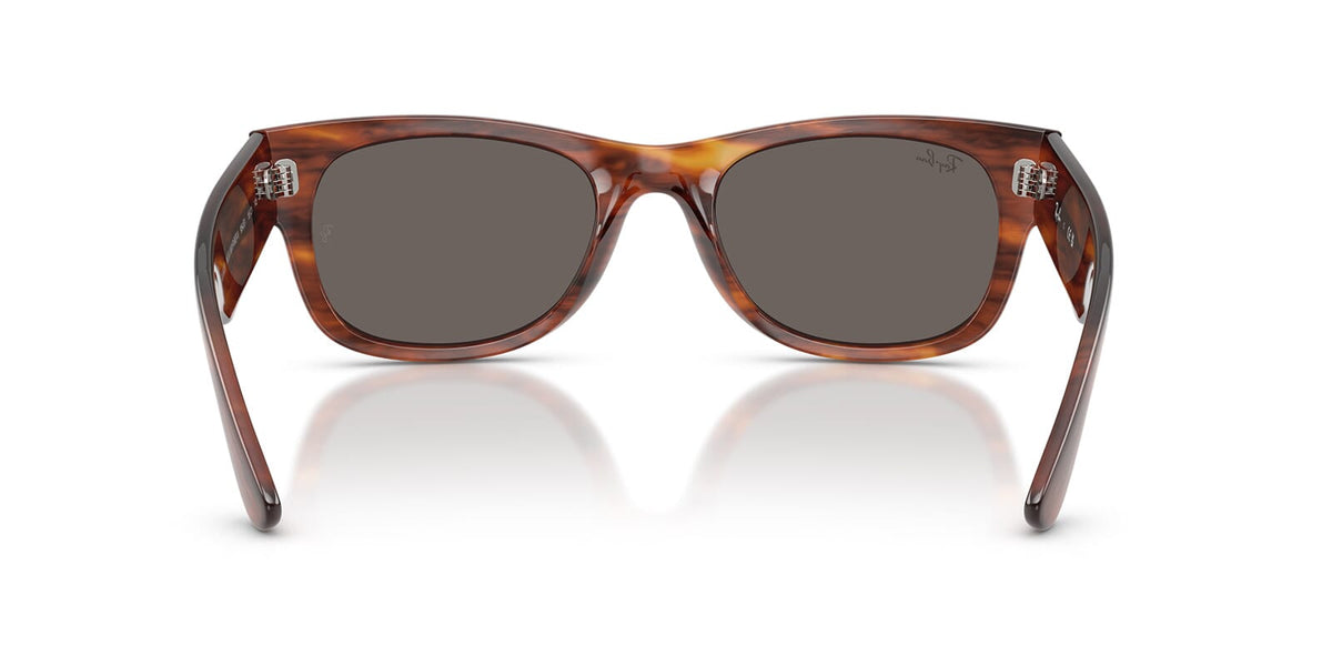 Ray-Ban Mega Wayfarer II RB0832S