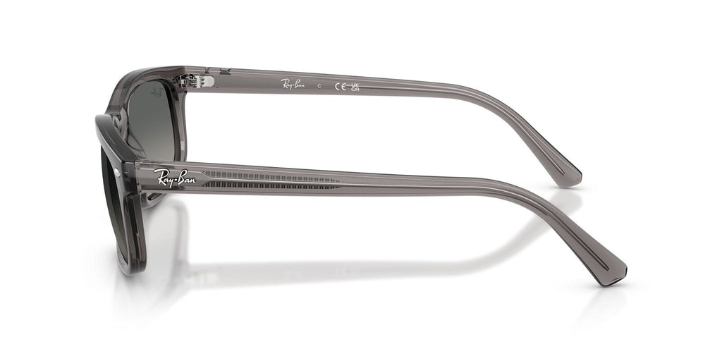 Ray-Ban RB2224