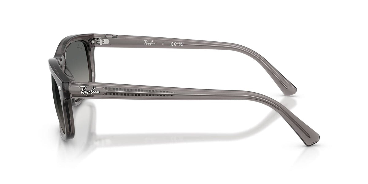 Ray-Ban RB2224