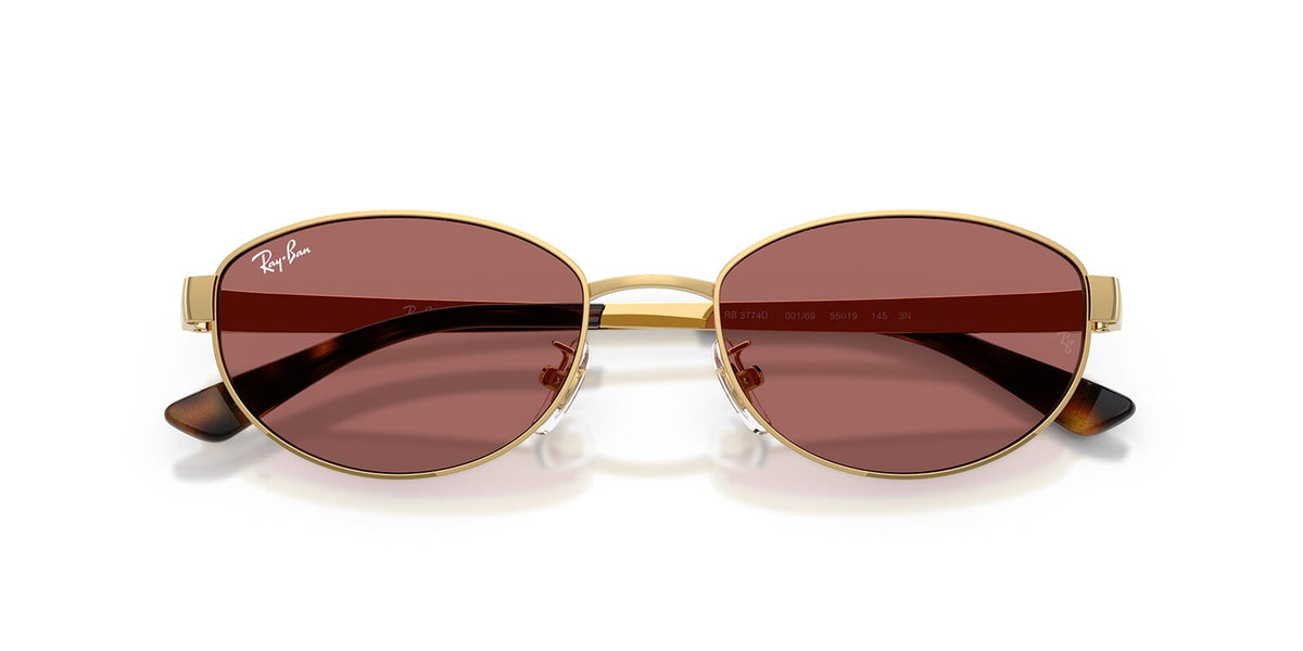 Ray-Ban RB3774D