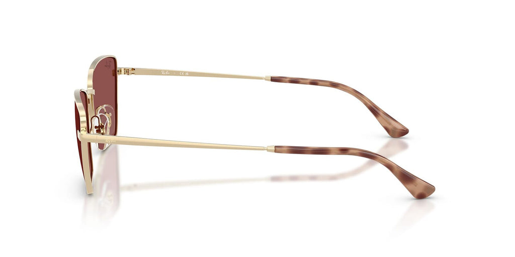 Ray-Ban RB3783
