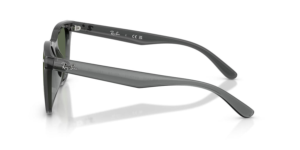 Ray-Ban RB4420