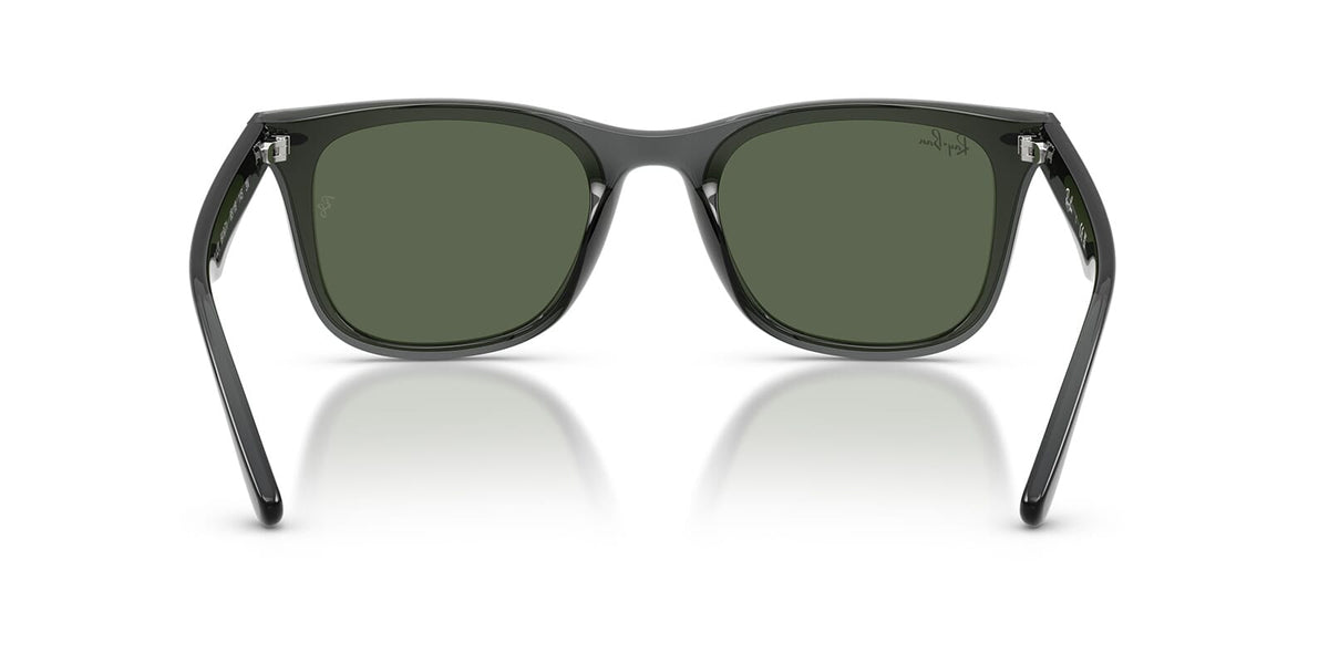 Ray-Ban RB4420