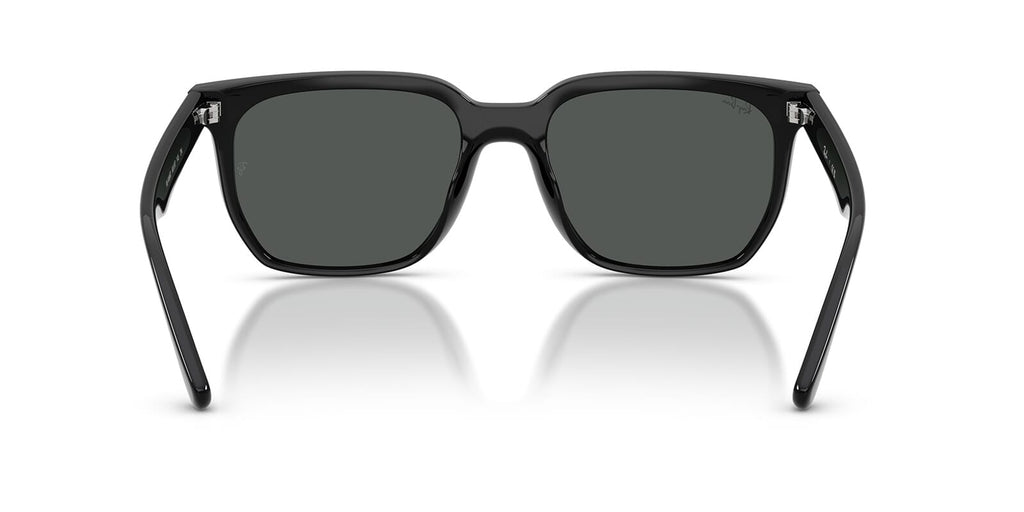 Ray-Ban RB4466D