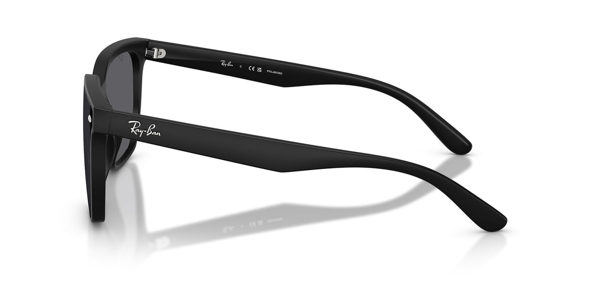 Ray-Ban RB4466D