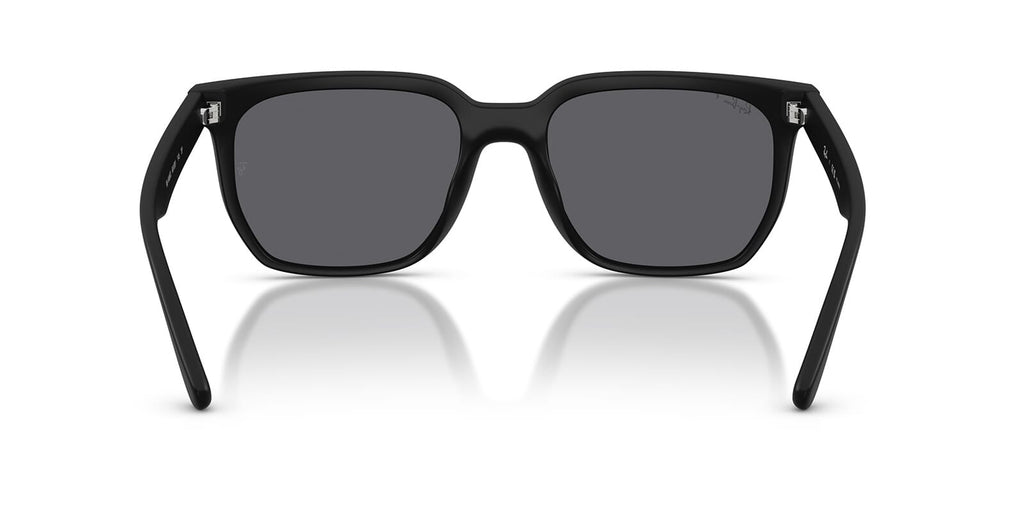 Ray-Ban RB4466D