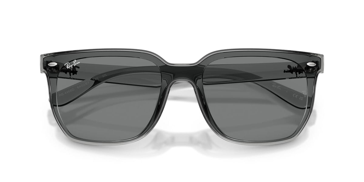 Ray-Ban RB4466D