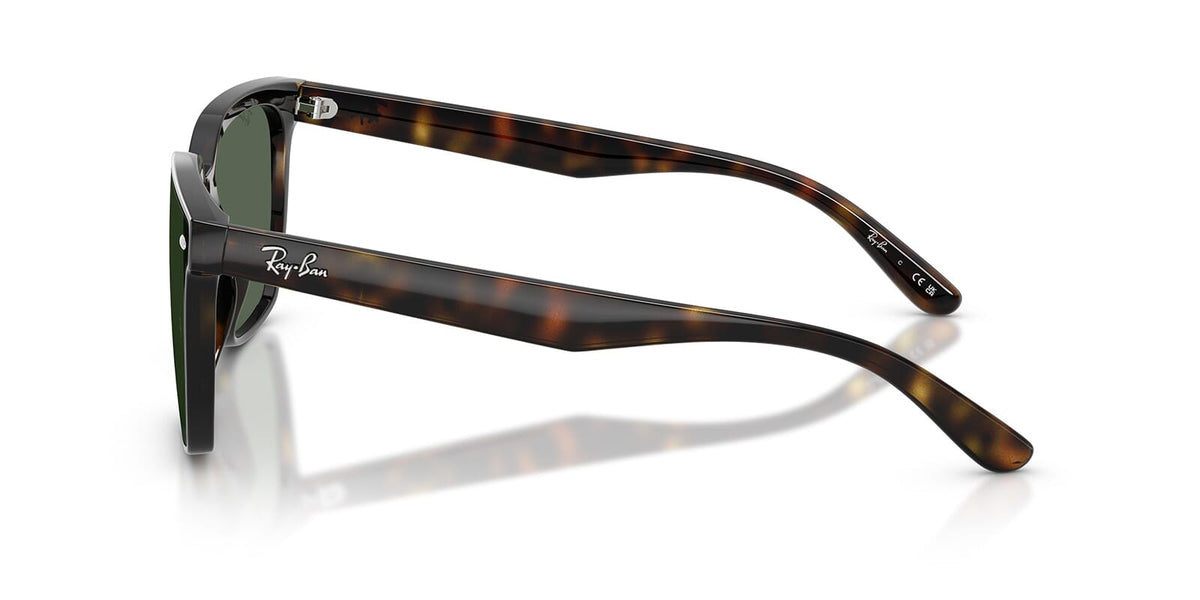 Ray-Ban RB4466D