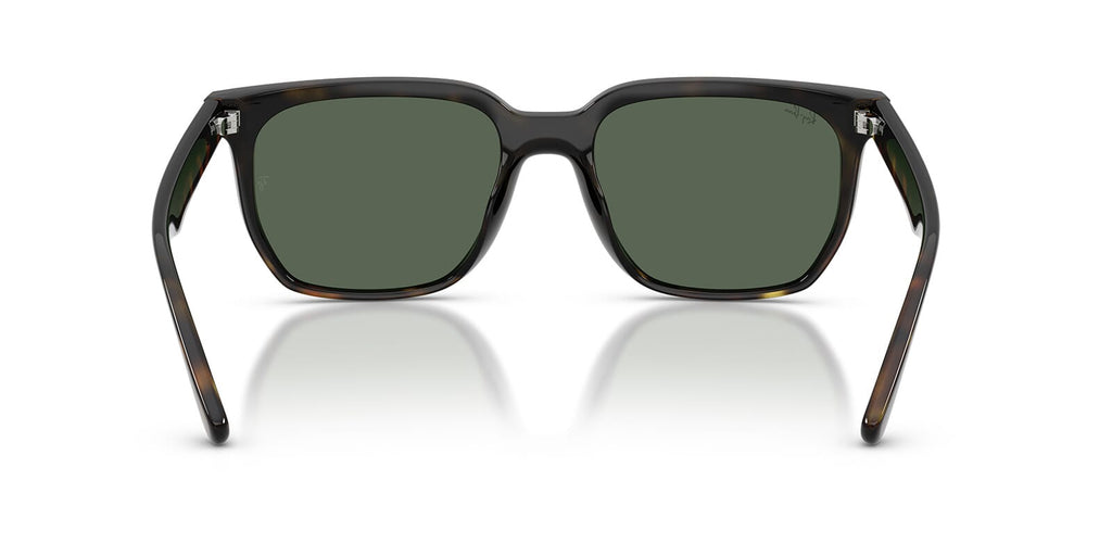 Ray-Ban RB4466D