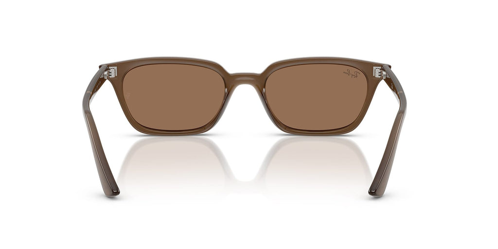 Ray-Ban Zaya RB4456