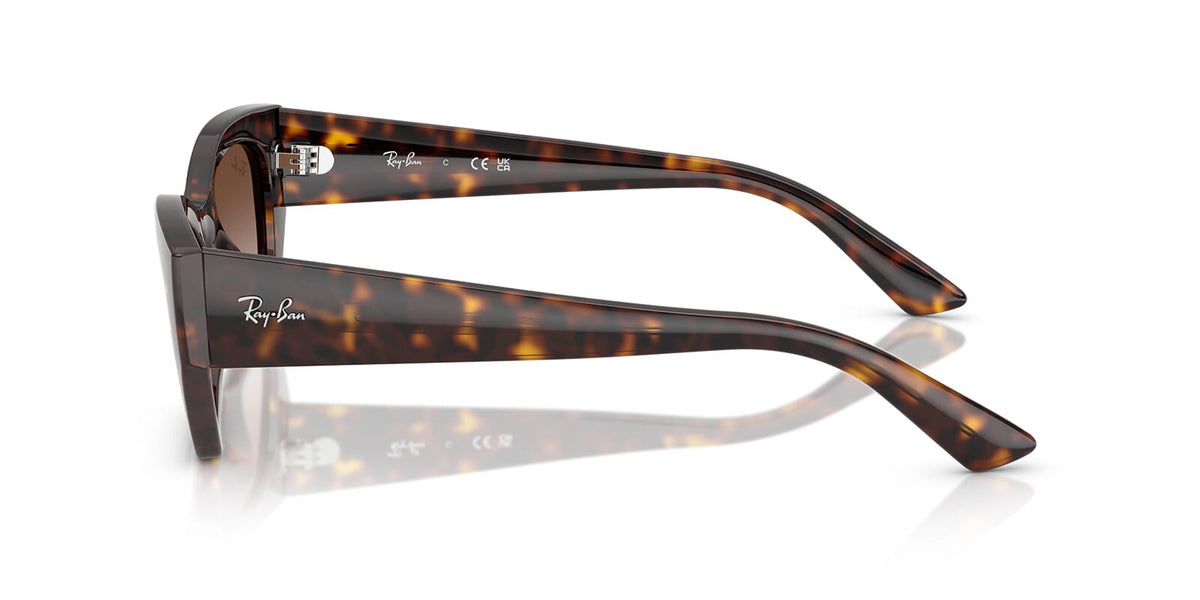 Ray-Ban Zena RB4430
